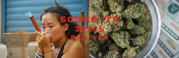 индика Покров