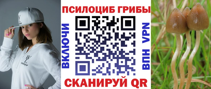 Галлюциногенные грибы ЛСД  kraken ссылки  Пикалёво  наркошоп 